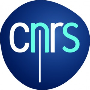 CNRS-filaire-Quadri